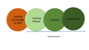 training timeline